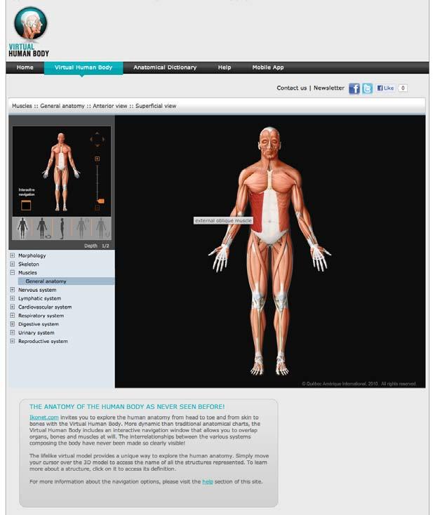 More channels to reach your target audience worldwide The Health channel: Virtual Human Body (coming in 202) The anatomy of the human body as you have never seen it before Virtual Human Body