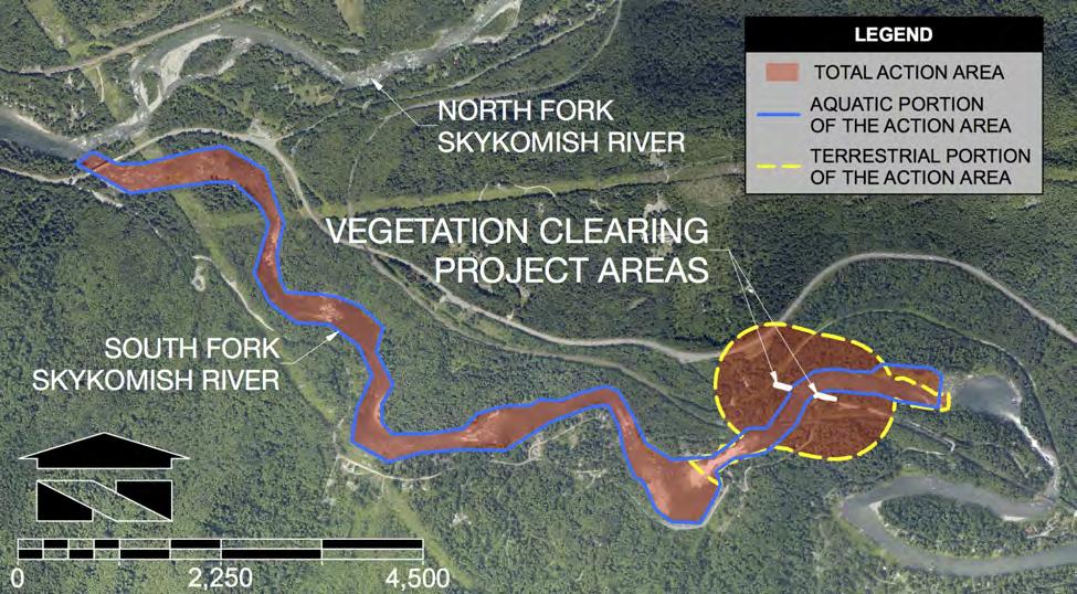 Figure 5: Total action area of proposed project 4.3.2 Project Actions without Significant Potential Effect Turbidity created by clearing of vegetation No vegetation was removed from the forest floor.