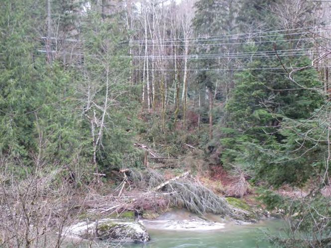 1.0 INTRODUCTION In the winter of 2013/2014, an existing 12kV electrical distribution line was damaged in landslides, which has been a recurring problem at the site since that time.