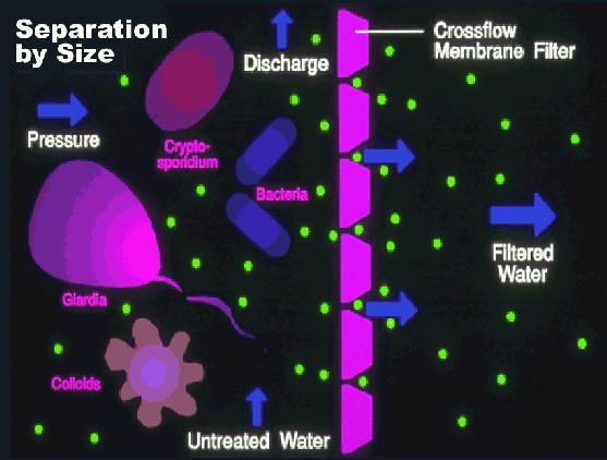 Separation By Ultrafiltration