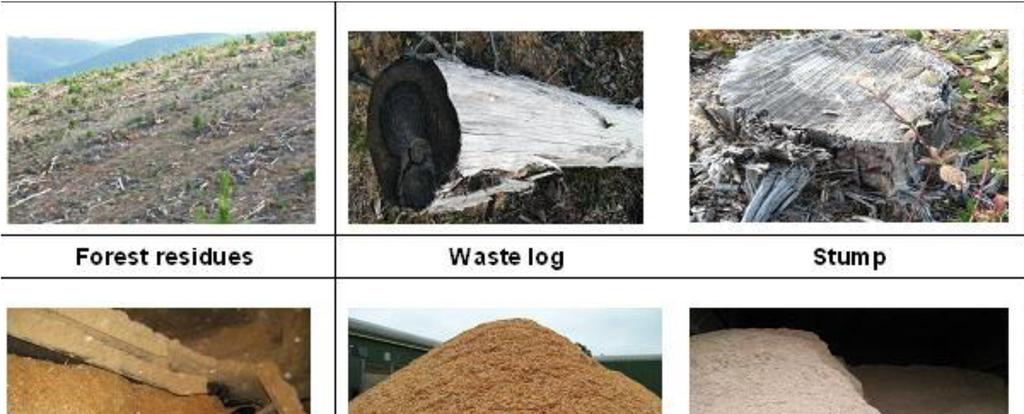 Supply of Biomass from Sustainable Sources Woody biomass