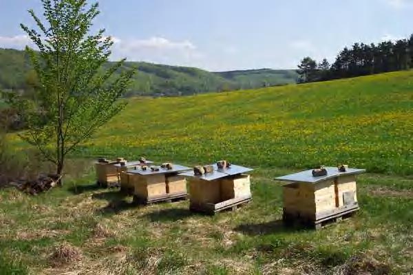 Organic Beekeeping in Germany Standards and Inspection System of Bioland Picture by Kerstin