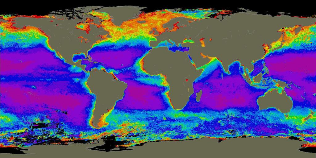 Coastal Zone Color Scanner (CZCS) This image shows total surface plant pigment concentration in the world s oceans averaged over the entire period of