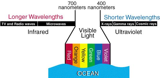 Interaction of Sunlight with Ocean Water Sunlight, however, is not merely reflected from the ocean surface.
