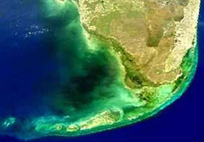 Coastal regions may have high concentrations of phytoplankton as well as suspended