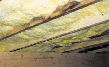 Insight New Light in Crawlspaces An edited version of this Insight first appeared in the ASHRAE Journal. By Joseph W. Lstiburek, Ph.D., P.Eng.