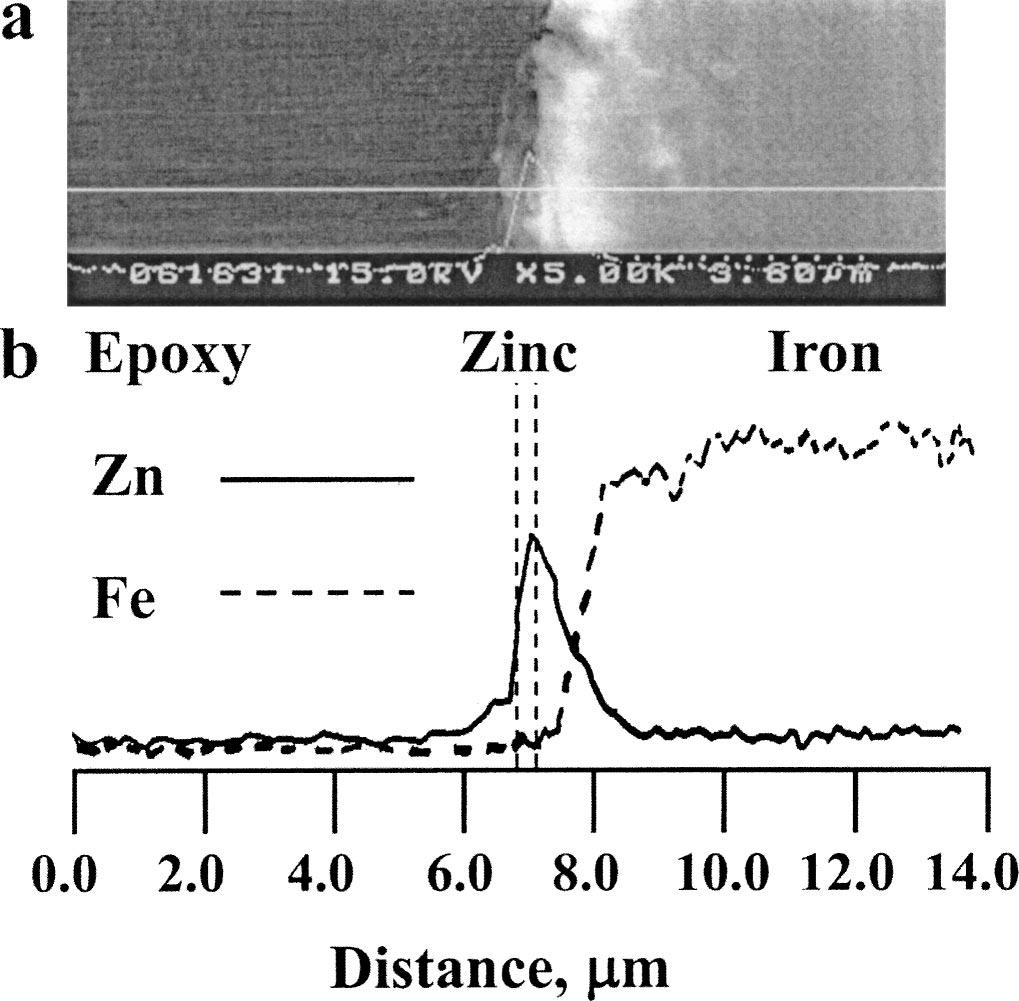 C11 Figure 5. SEM analysis of Zn electrodeposits obtained at 0.12 V where only UPD of Zn on Fe substrate occurs from pure 40-60 mol % ZnCl 2 -EMIC ionic liquid, on to a 0.