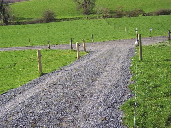 21 Grazing Infrastructure Roadways Key facts Road width 50 cows - 3m, 100 cows -4m, 250 cows -5.