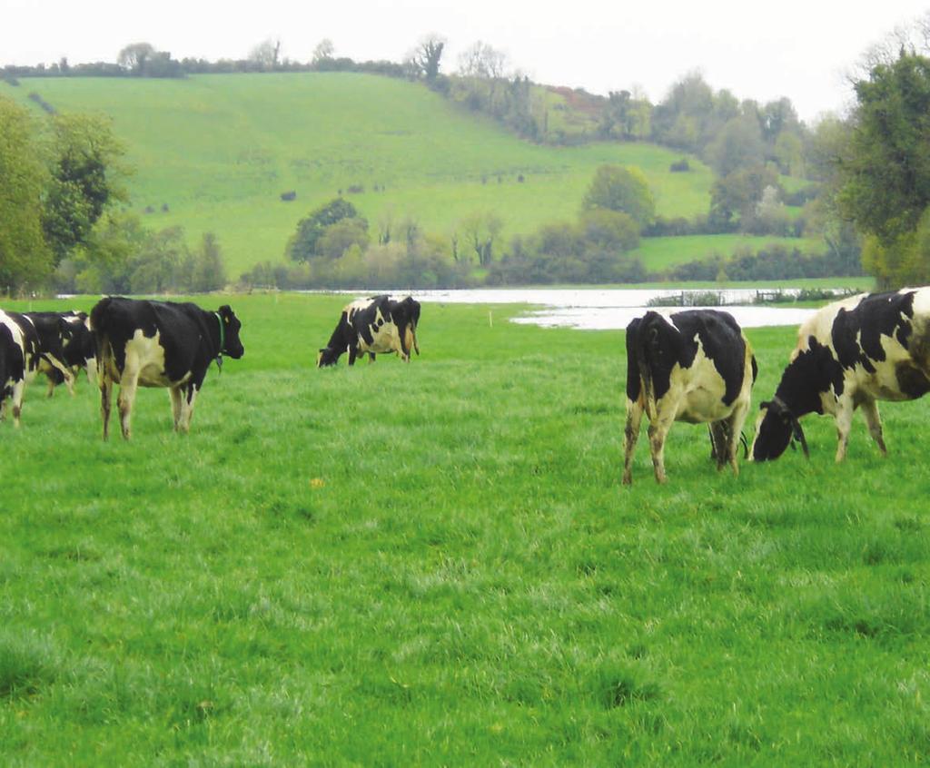 Section 3 19 Securing a Land Base by Brendan Horan Introduction Location within the country is generally not a limitation to pasture production.