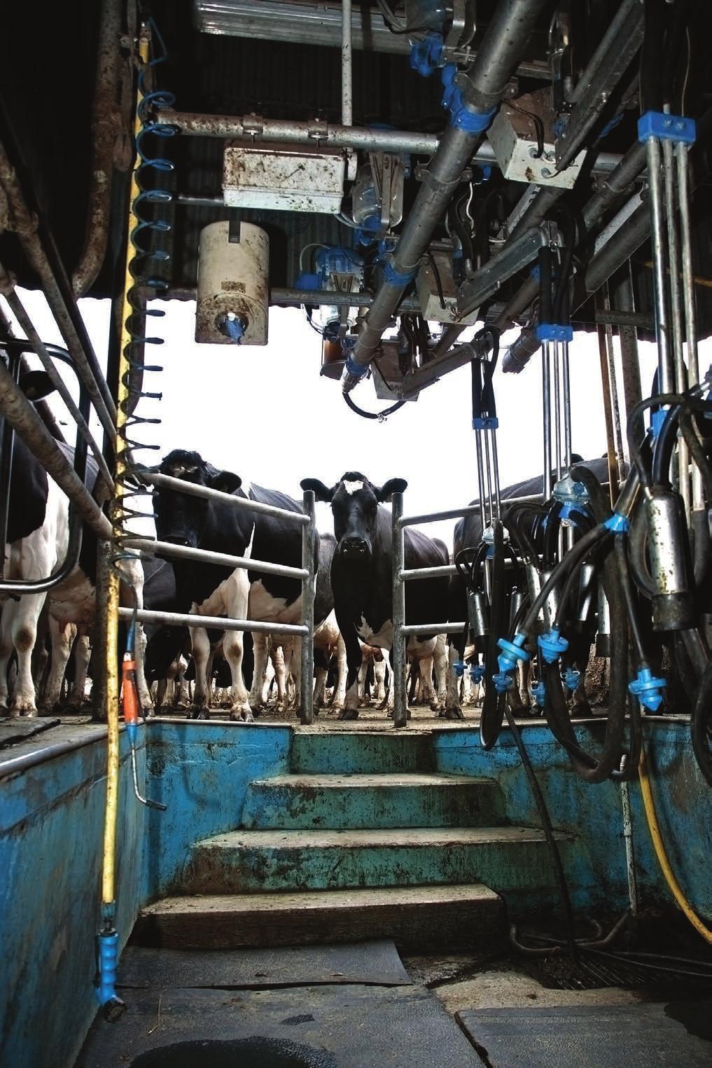 22 Milking Facilities Plant room Houses motor, pump, and other equipment. Separate room with a separate entrance from outside or from milking premises.