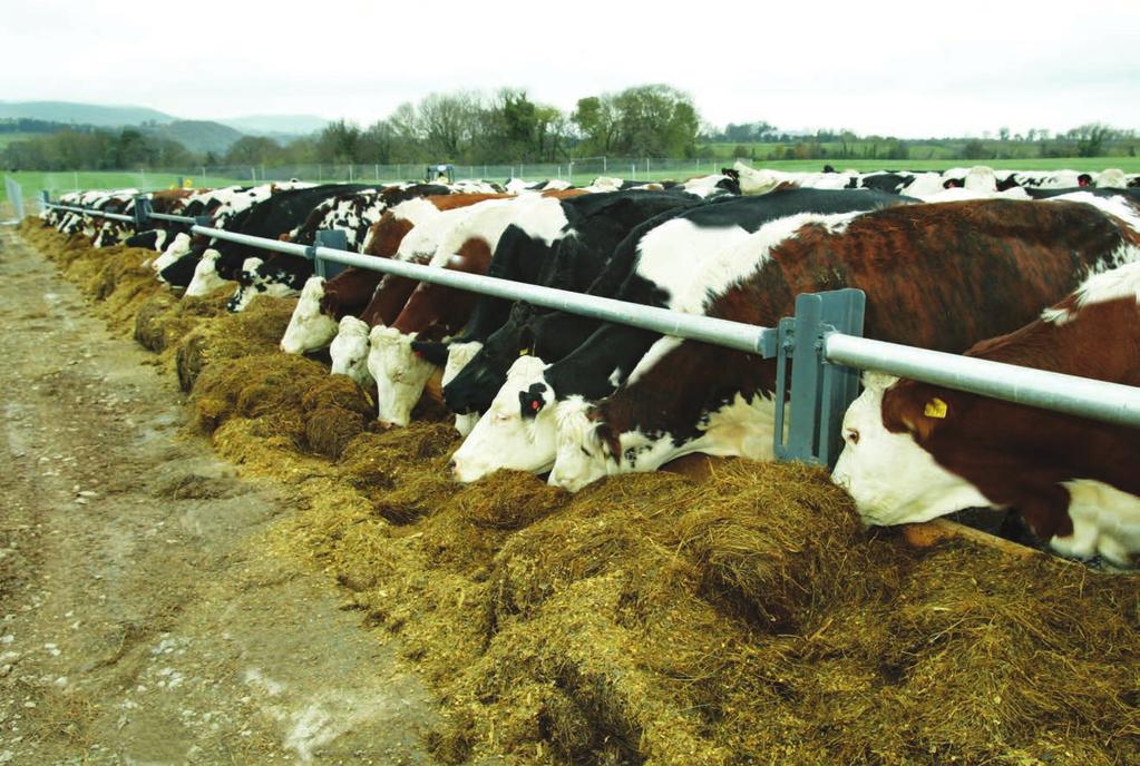 Section 3 24 23 Winter Facilities by Pat Clarke Introduction Choice of winter facilities is key, particularly for expanders or new entrants to dairying.