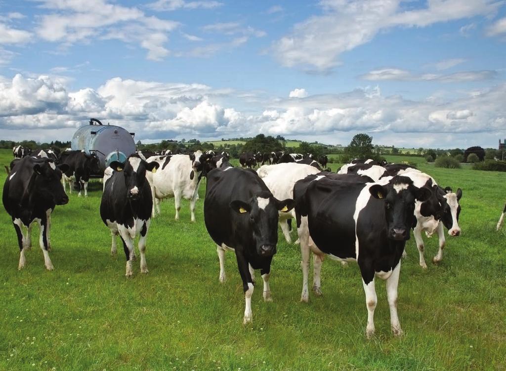 Section 3 26 Mechanisation by Dermot Forristal Introduction The key challenge for dairy farmers