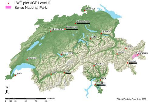 Interception loss (mm) Own experiences with Coupmodel (2007-2010) We model the water balance of selected Swiss forest sites with two approaches,