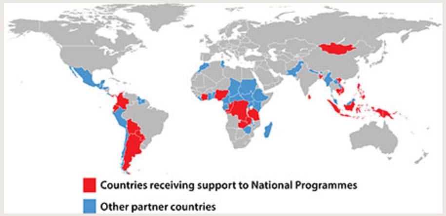 UN-REDD Programme: 56 partner countries The UN-REDD Programme currently supports 56 partner countries.