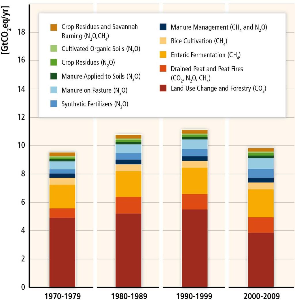 The role of Forests in GHG emissions from