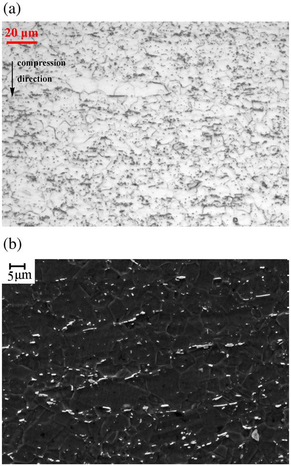 52 MATERIALS CHARACTERIZATION 6 (200) 49 53 Fig. 3 Optical microstructure (a), and SEM morphology and distribution of δ phase (b) in the center. between the δ phase and the matrix γ is high.