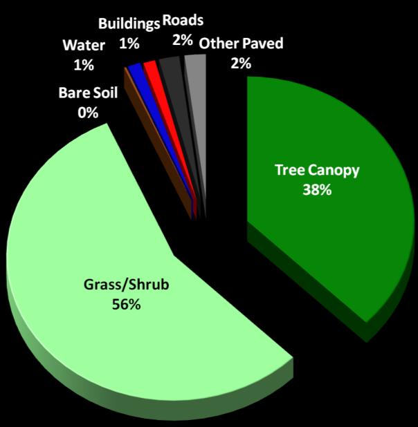 A TC assessment that estimates the amount of tree canopy currently present (), along with the amount of tree canopy that could theoretically be established (), is the first step in the TC