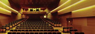 Composition of Auditorium panels Auditorium panels are composed of a wood and resin isotropic mass, and a natural wood face protected by an abuse-resistent proprietary coat.
