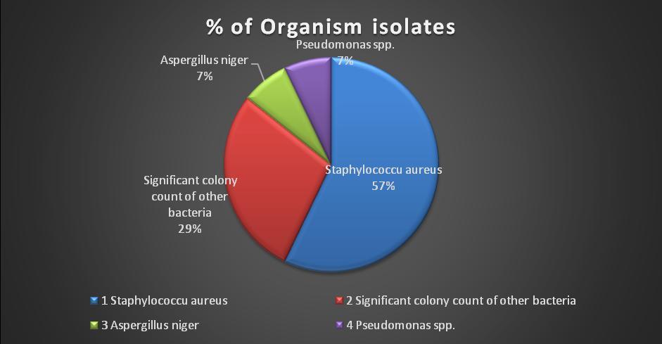 Fig.3 Shows Percentage Distribution of Different Organisms