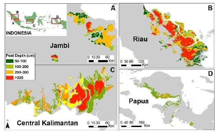 Phase II: National scale - Four provinces, four field research sites - Riau, Jambi, Central Kalimantan,