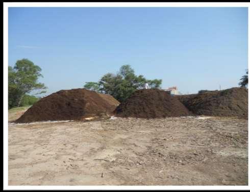 Windrow Composting