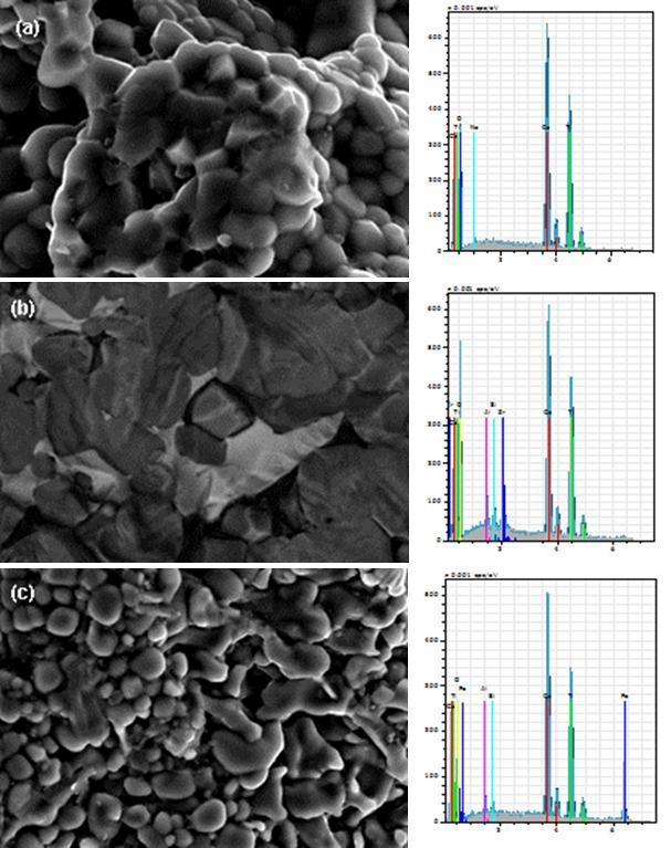 Figure 2 Micrographs and EDS spectrum of samples: (a) C1, SEM 5000x,1200 C; (b) C2, SEM 2000x, 1400 C, and (c) C3, SEM 2500x, 1300 C.