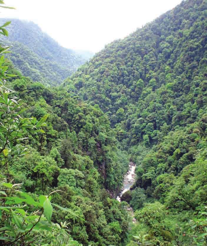 Ecosystems perceived as intact and preserved like the Rathong chu valley in West Sikkim, are
