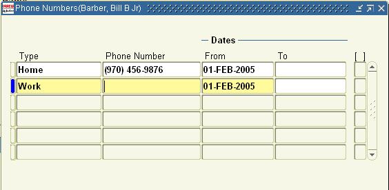 The remaining required fields will be populated when you save. 3. Save your work and close the Address window. Completing Employee Telephone Information 1.