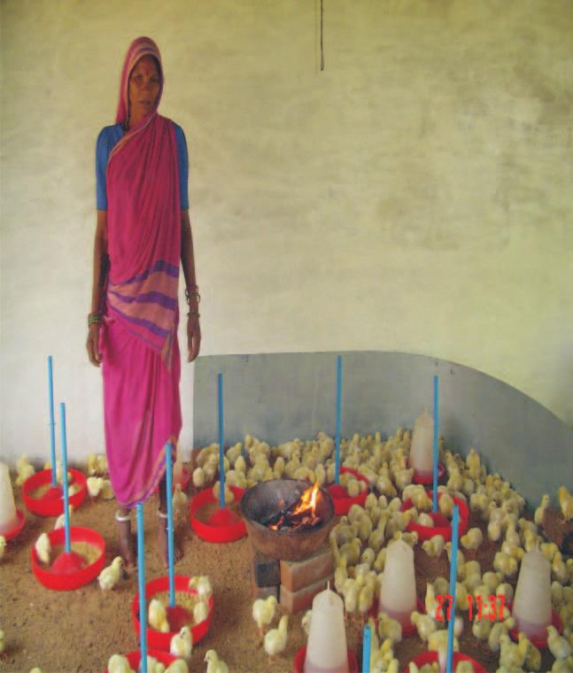 and marketing of live broilers. These efforts effectively removed rigid entry barriers and allowed the poor to access market opportunities.