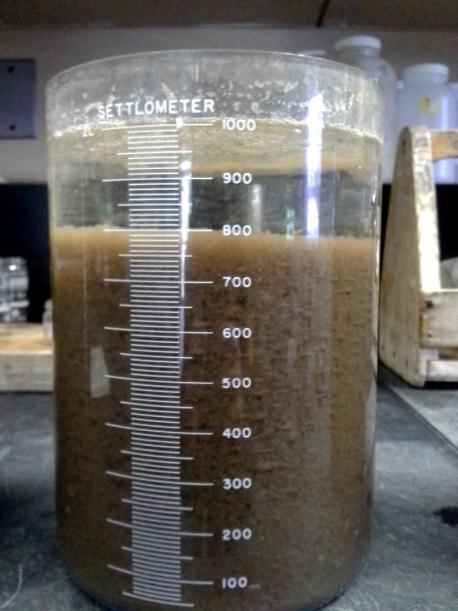 MLSS concentration, and multiplied by 1000 (Equation 3). Mixed liquor with SVIs greater than 150 ml/g are generally considered to be experiencing sludge bulking (Grady et al., 1999).