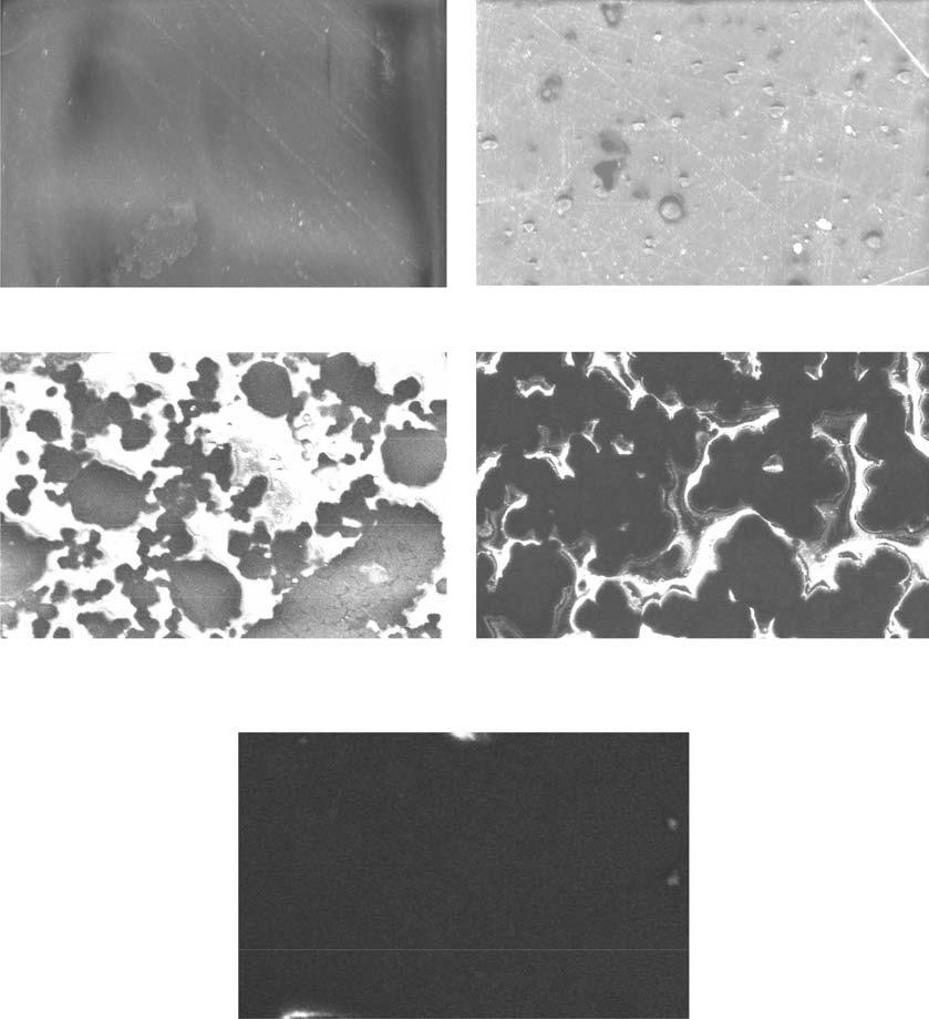 Figure 2 FESEM micrographs of the conductive coating CB0 CB5 (a) (b) CB10 CB15 Epoxy resin (c) (d) Carbon black CB20 (e) 10 µm Figure 3 OCP of CB20 coated mild steel in 30 wt% NaCl solution 00 01
