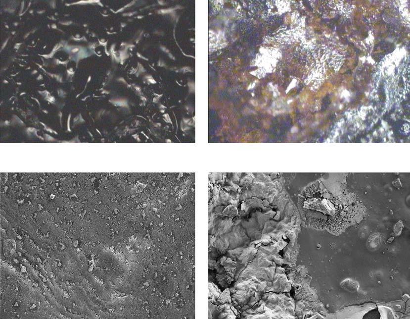 Figure 5 Optical and FESEM micrographs of CB20 coated mild steel before (a and c) and after (b and d) contact with a 30 wt% NaCl solution Optic-before Optic-after (a) 008 mm (b) 008 mm FESEM-before