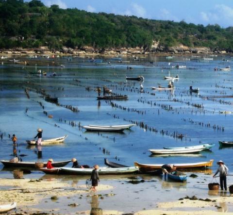 Conflicts among key stakeholders over coastal space uses Overlapping uses of small coastal areas fishers, seaweed farmers and marine tourism sector Fishing activities vs diving sites