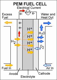 PEM fuel cells use a special electrolyte that only allows protons (hydrogen ions) 