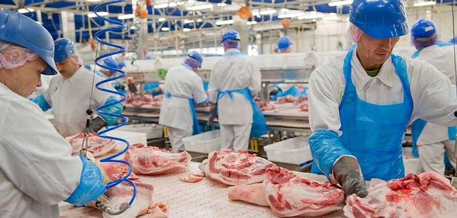 A global meat industry outlook Capturing business opportunities in