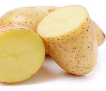 REQUIREMENTS A balanced fertility program is essential in achieving maximum potato