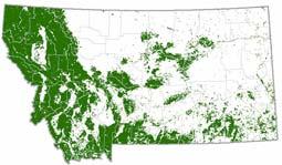 The forest cover layer was derived by combining four NLCD classes: Deciduous Forest Evergreen Forest Mixed Forest Woody Wetland Private lands were derived from the Montana stewardship layers provided