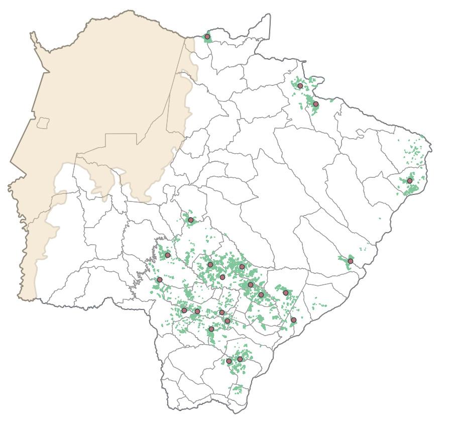 STUDY 3 EXPANSION OF SUGARCANE MILLS IN MATO GROSSO DO SUL 5 Between 2005 and 2012, large private investors constructed 14 sugarcane mills in the Brazilian state of Mato Grosso do Sul (MS), a booming