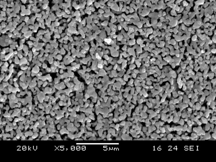 Chapter 7 SEM Analysis SEM images were taken of LSGM/LNO pellets before and after impedance spectroscopy in various atmospheres.