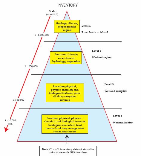 A schematic representation of the hierarchical approach to wetland inventory Level 1 - involves delineation of geographical regions (major river basins and islands) in Asia and encompasses a