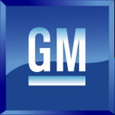 General Motors requirements GMW 14665 3 rd edition, 1 st November 2016 This specification covers basic
