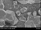 By judging from the SEM observation, the degree of crystallinity of the coating layer is not the main factor for