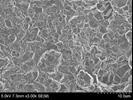 SEM surface micrographs of SiC coating layers deposited by CVR, PVT, and CVD methods. As seen in Fig.
