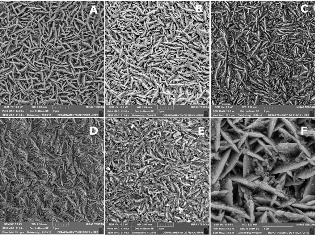 Evaluation of Co-Ni/SiC Nanocomposite Coating Obtained by Electrodeposition on the Corrosion Resistance of API 5L X80 Steel 5 Figure 2.
