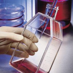 growth and performance New reliable and convenient disposable spinner flasks For over 90 years, Corning has been providing researchers with quality culture tools: The first cell culture flasks were