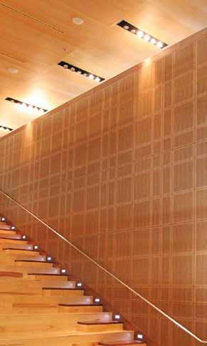 Solo-M Decoustics Solo-M is a fully customized acoustical ceiling or wall panel. Solo-M panels are available in a variety of natural wood veneers.