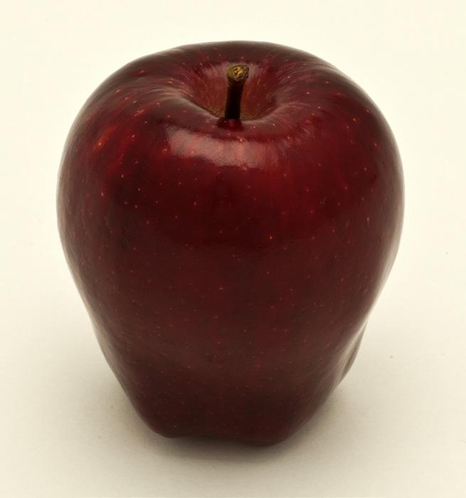 202 Cost Estimates of Establishing, Producing, and Packing Red Delicious Apples in Washington WASHINGTON STATE UNIVERSITY EXTENSION FACT SHEET FS099E Preface The information in this publication