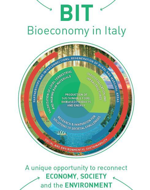The Italian Bioeconomy strategy AVAILABLE AT web site: www.