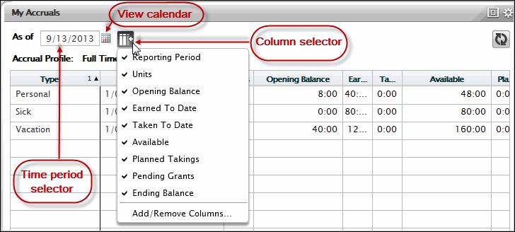 If My Accruals is in the secondary view, it displays the same accrual codes as in the larger, primary view as well as one balance-related column
