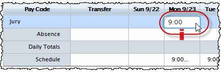 The pay code and amount/duration appears on the appropriate day in the timecard and the Totals Details update to reflect the change.